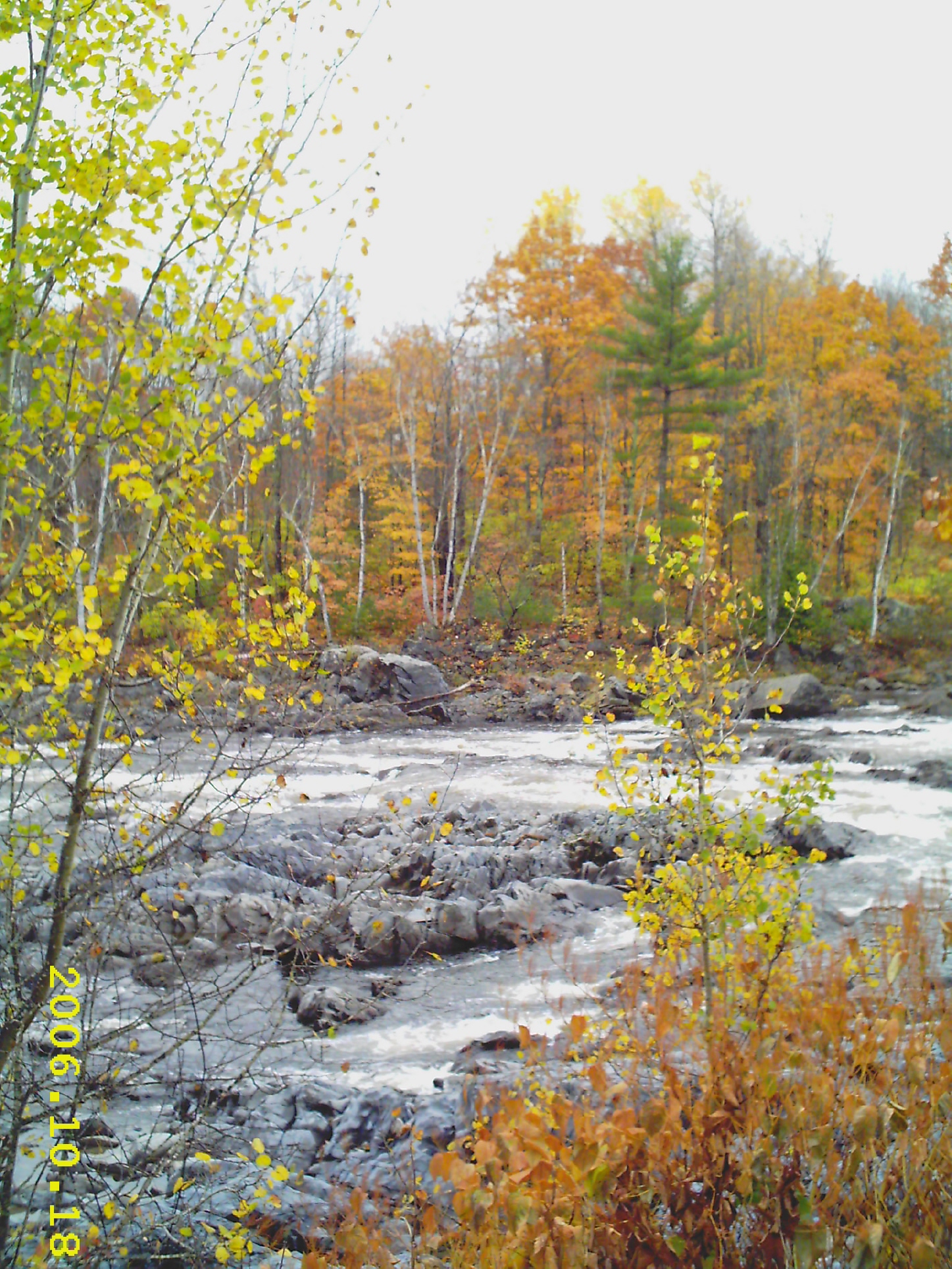 Autumn Carrabassett River